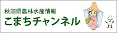 こまちチャンネル